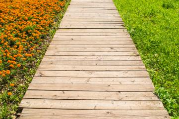 wooden-road-grass-flowers-old-perspective-green-one-side-orange-marigolds-other-side-32911947